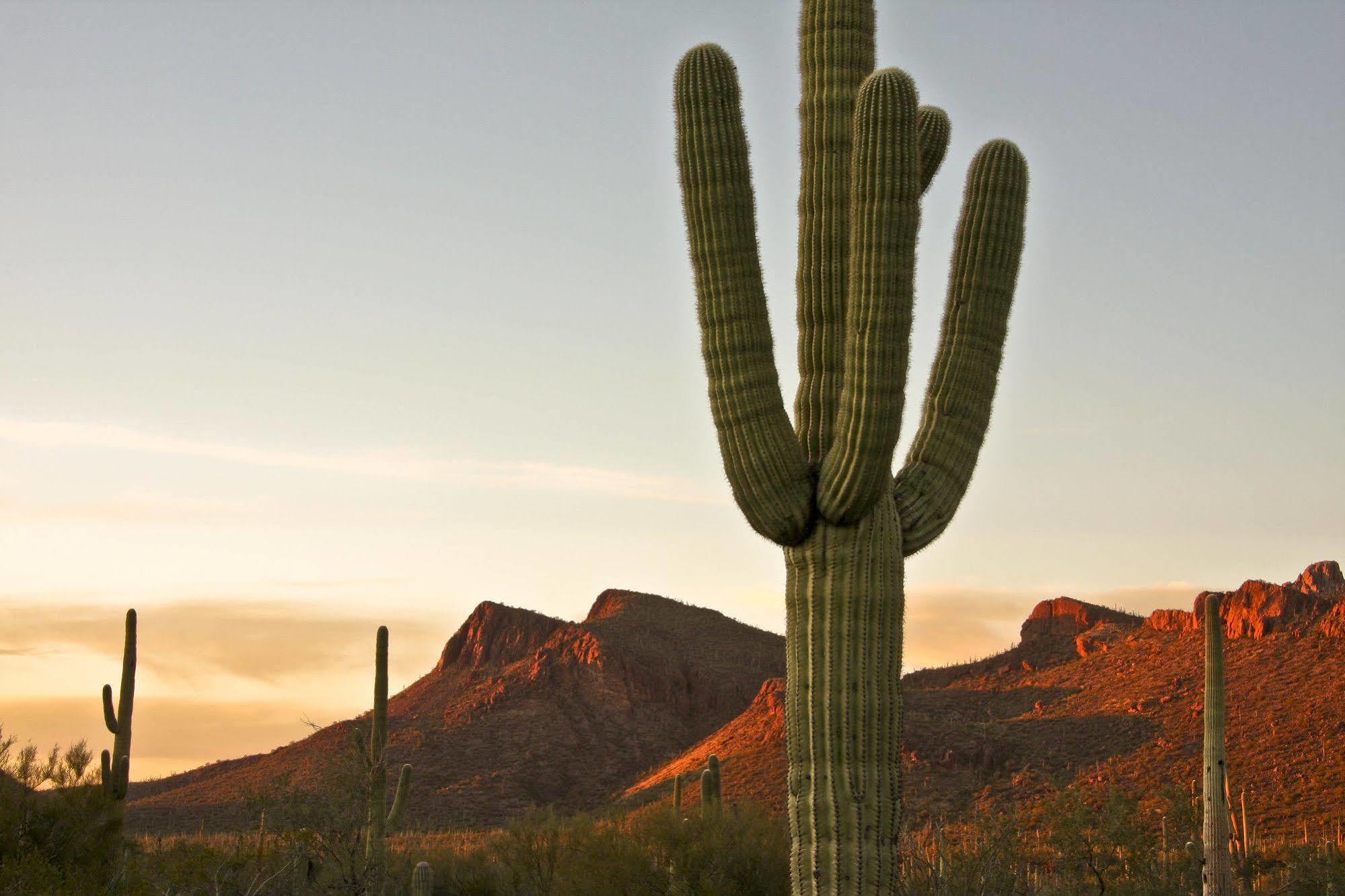 Tucson Marriott University Park Exteriér fotografie